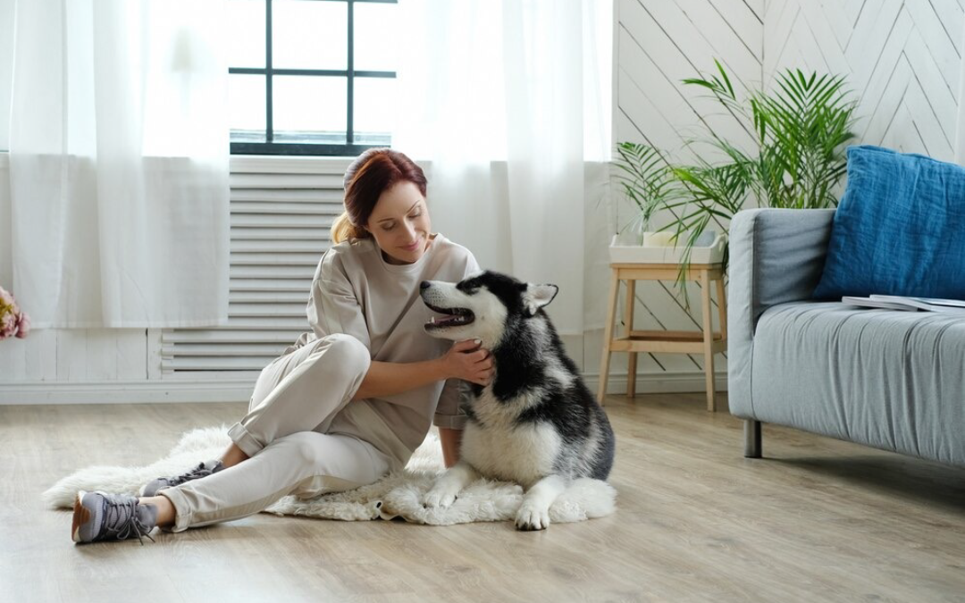 Keep Your Home Clean and Pet-Friendly With These Smart Maintenance Tips